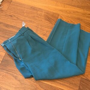 Aritzia Wilfred Carrot Pants Teal (size 14)